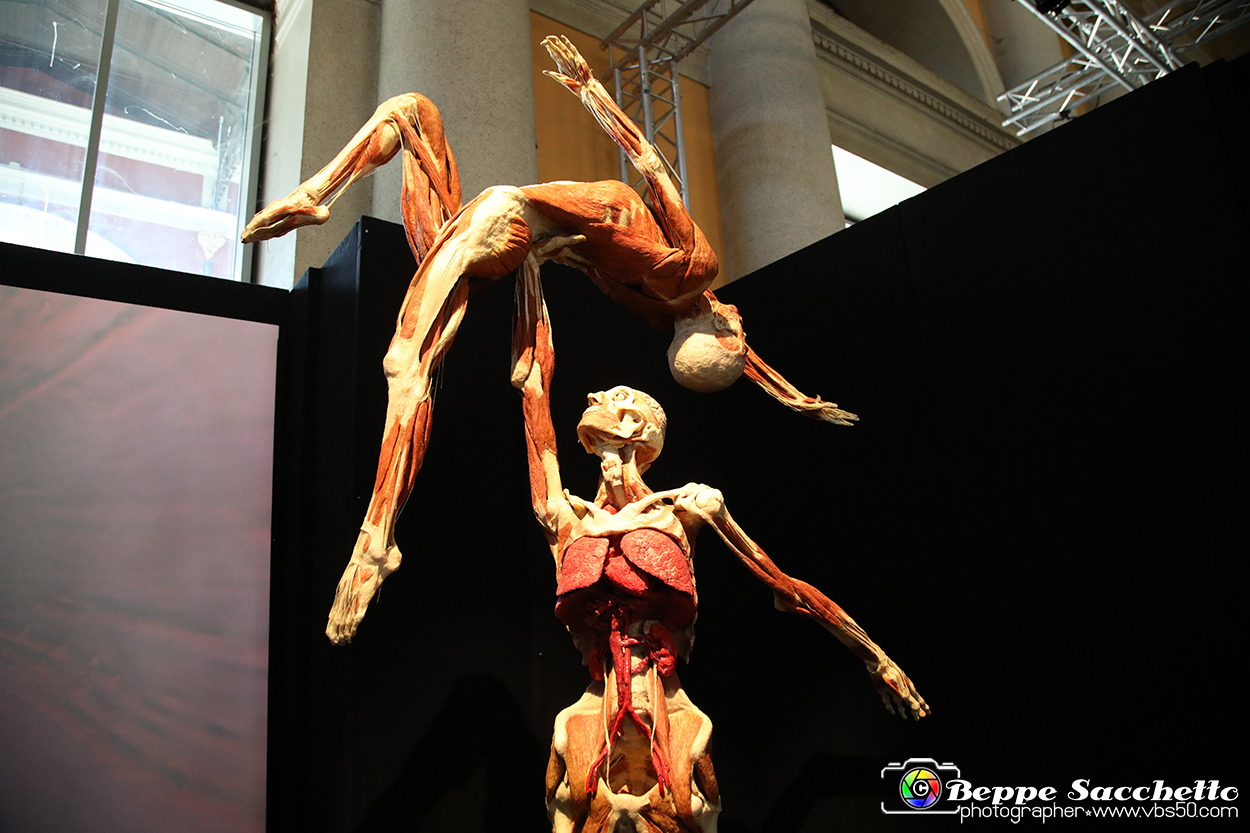 VBS_2809 - Mostra Body Worlds.jpg